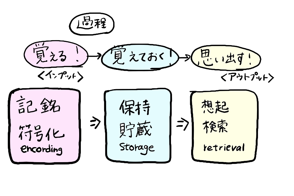 記憶 心理学ネット